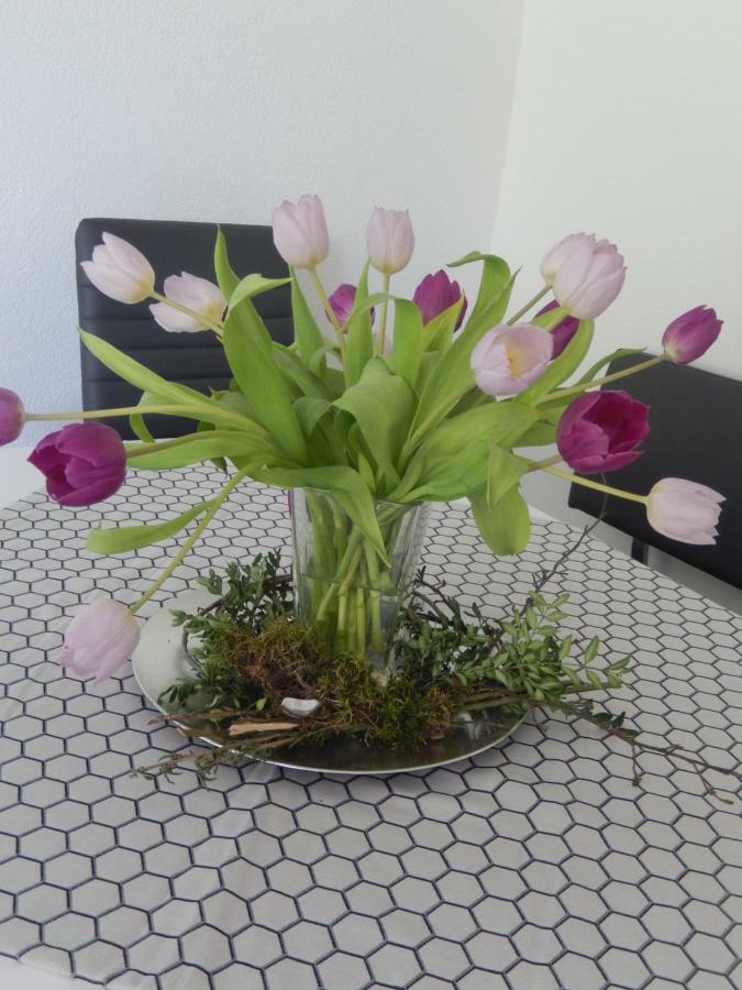 Apartment Lehmann *